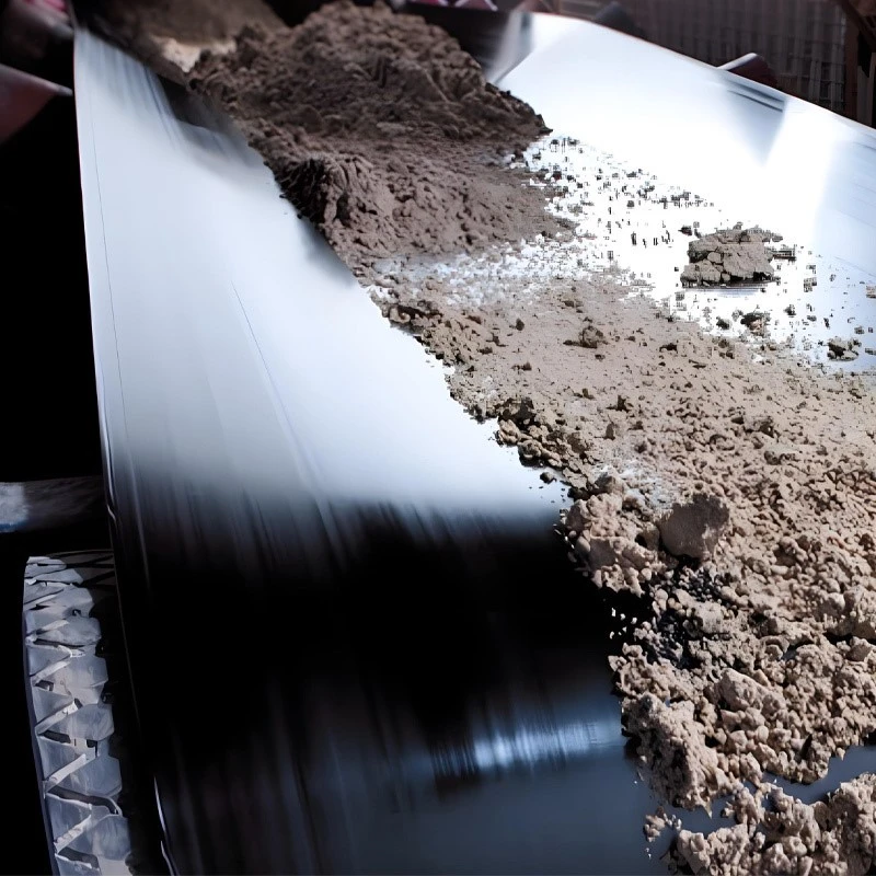 High Performance Cleaning Conveyor Belt