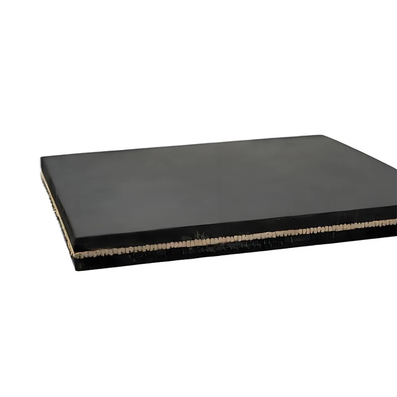 High Tech Aramid Conveyor Belt suppliers
