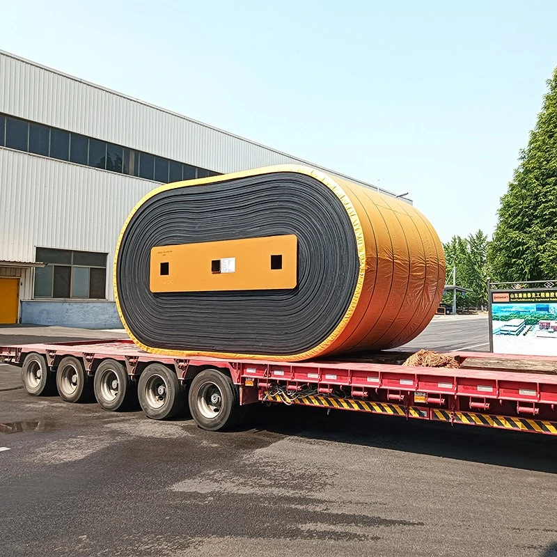 Nylon Conveyor Belt