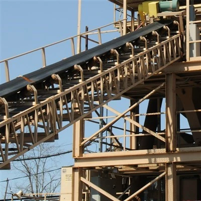 Environmental Self Cleaning Conveyor Belt